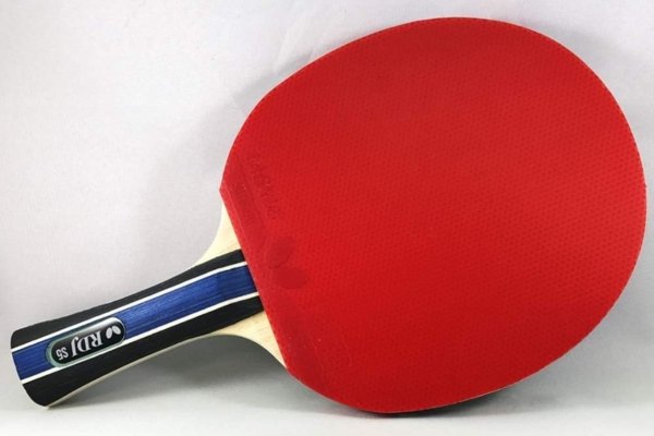 Raquete RDJ S6 Shakehand Butterfly